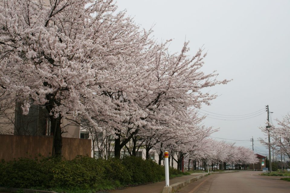 晴陵リハビリテーション学院　同窓会