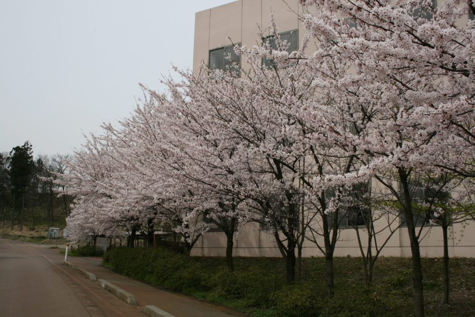 晴陵リハビリテーション学院　同窓会